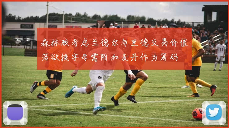 森林狼考虑兰德尔与里德交易价值若欲换字母需附加麦丹作为筹码